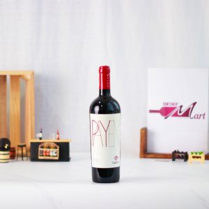 Tabali Payen Syrah 2018 Red Wine Chile
